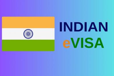 Understanding the Indian E-Conference Visa - Dallas Other