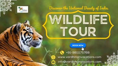 Rajasthan Wildlife Safaris: Experience the Wild