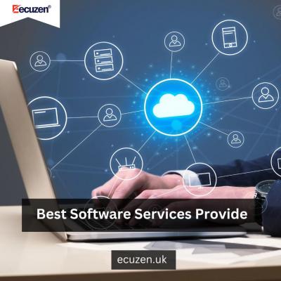 Best Software Services Provide