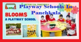 Playway Schools In Panchkula