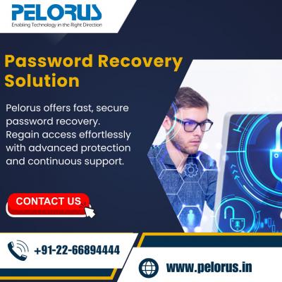 Password Recovery Solution - Mumbai Other