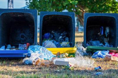 Dumpster Rental in Lemon Grove - San Diego Other