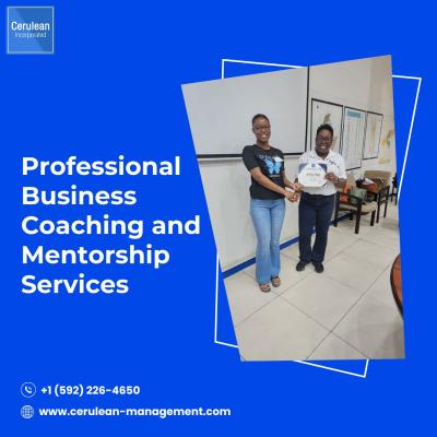 Professional Business Coaching and Mentorship Services