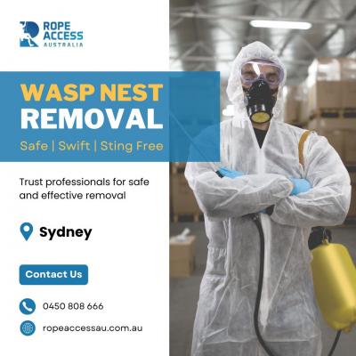 Quick and Safe Wasp Nest Removal Services