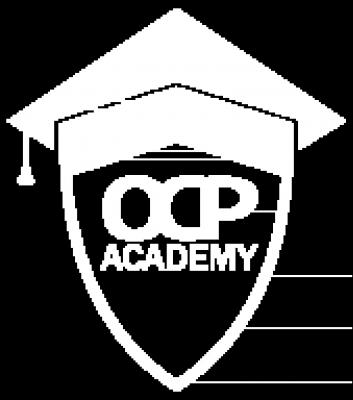 Best Digital Marketing Certification Course - Enroll Now at OCP Academy!