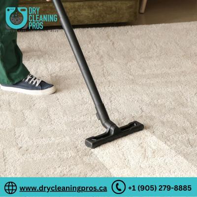 Carpet Cleaning|Dry Cleaning Pros - Mississauga Other