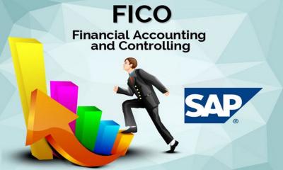 ERP SAP FICO Training in Noida