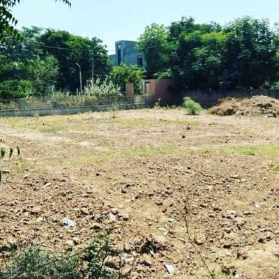 316 sq yards Plots For Sale In dlf Phase 3 Gurgaon  - Gurgaon For Sale