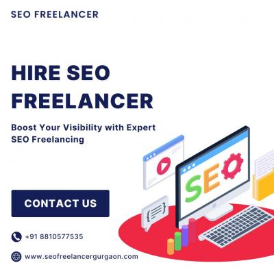 Hire SEO Freelancer in Gurgaon - Delhi Other