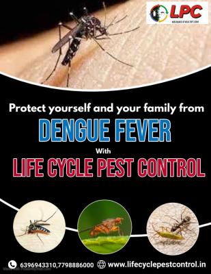 Pest control in pune  - Pune Other