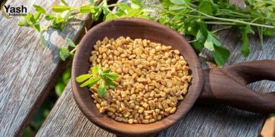 Fenugreek Seeds in Russia: Health Benefits & Uses