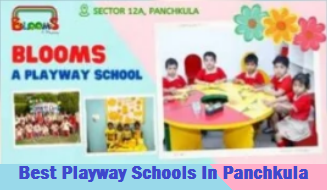  Best Playway Schools In Panchkula