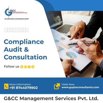 Audit And Consulting Services Delhi - Delhi Professional Services