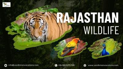 Experience the Majesty of Rajasthan’s Wildlife