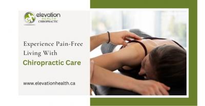 Experience Pain-Free Living With Chiropractic Care