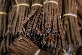 Premium Vanilla Madagascar for Sale – Robust Madagascar