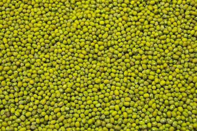 Premium Green Mung Beans – Robust Madagascar