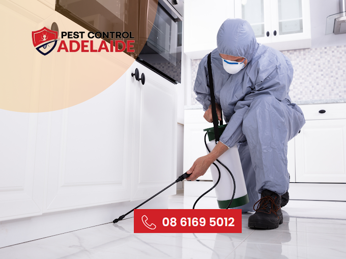 Reliable Pest Control Services in Adelaide - Adelaide Other