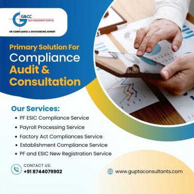 Compliance Audit & Consultation Delhi  - Delhi Professional Services