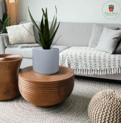 Ceramic indoor plant pots manufacturers - Washington Other