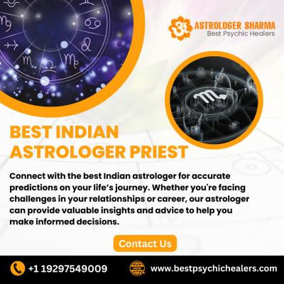 Best Indian Astrologer Priest in