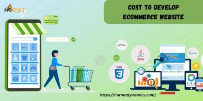 Cost to develop eCommerce Website