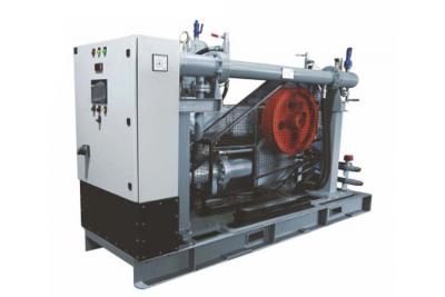 Oilless Piston & Scroll Air Compressor - Delhi Other