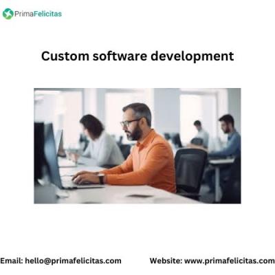 We provide professional software development services that are personalized to meet your specific re