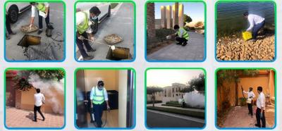 Rodent Control Treatment In Dubai - Dubai Other