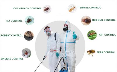 Pest Control Treatment companies in dubai - Dubai Other