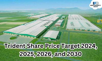 Trident Share Price Target 2024 - Delhi Other