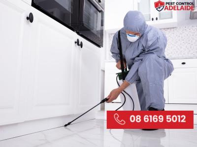 Trusted Pest Control Services in Adelaide - Adelaide Other