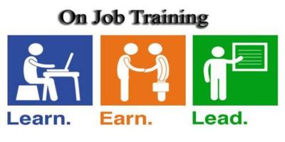 On Job Training Guide From Experts - Pune Other