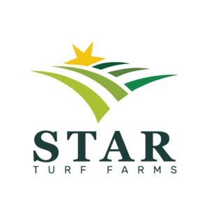 Florida Sod Farms: Your Source for High-Quality Turfgrass