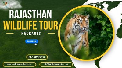 Rajasthan Wildlife: A Journey to Remember