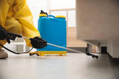 Pest Control Services In Memphis TN - Other Professional Services