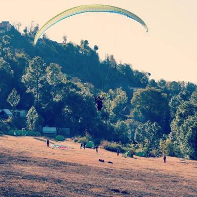 Paragliding in Shimla cost - Other Other