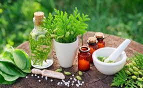 Ayurvedic PCD company in India - Chandigarh Other