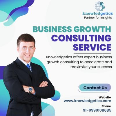 Business growth consulting service 