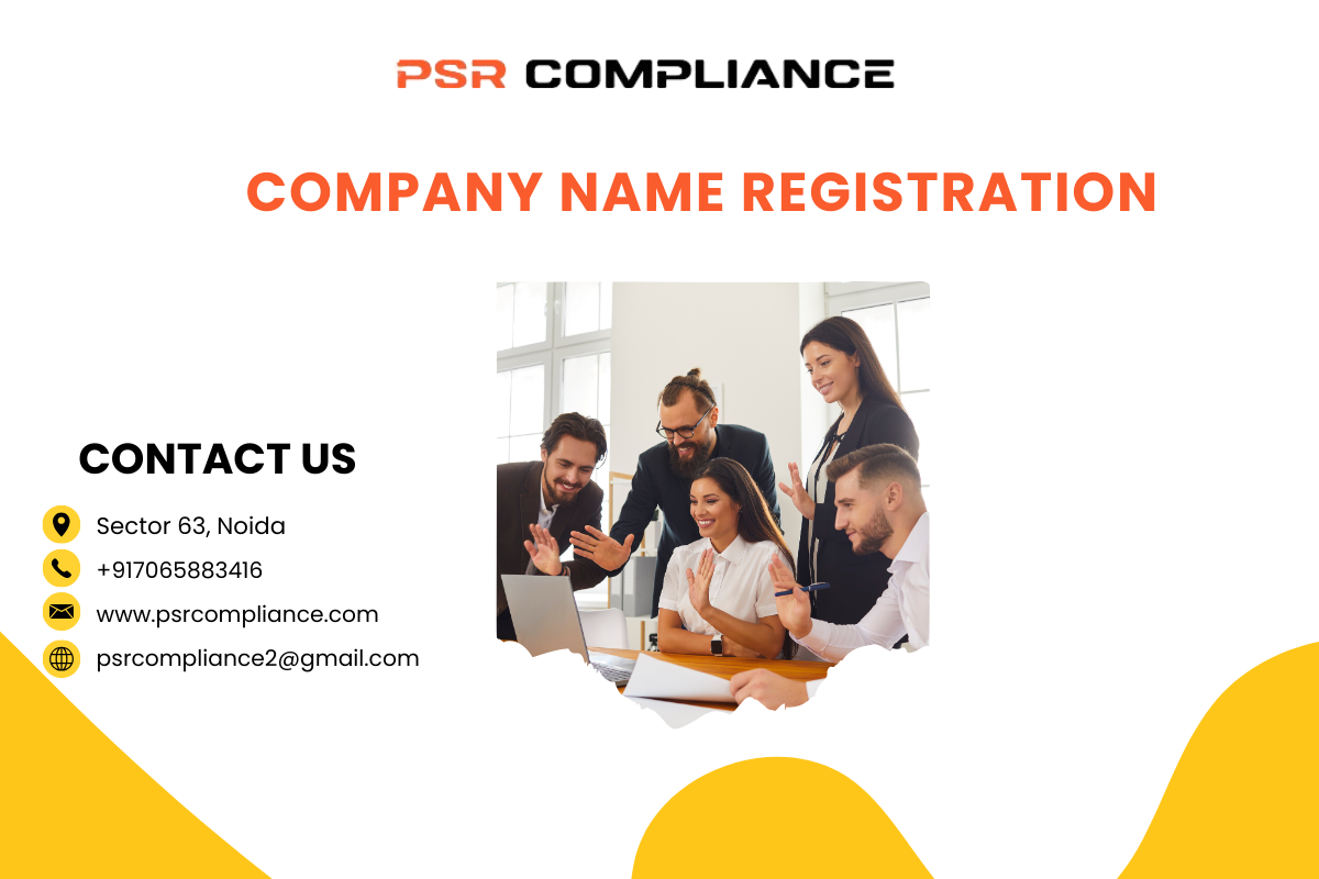 Company Name Registration   - Delhi Professional Services