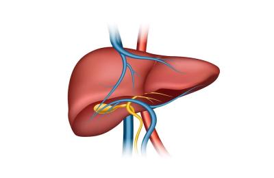 Best Liver Transplant Doctor in India