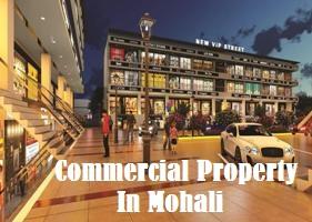 Commercial Property In Mohali - Chandigarh Other