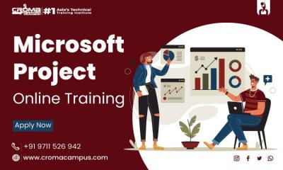 MS Project Online Course - Other Computer