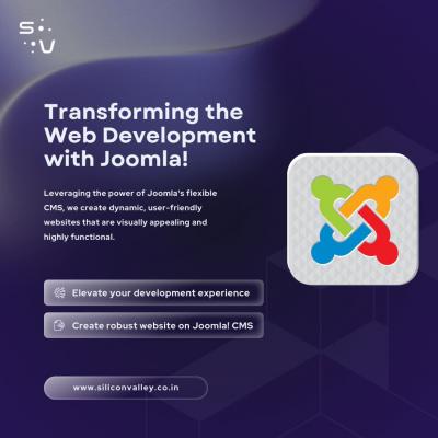 Leverage Opensource Joomla! Outsource Joomla Development Services - Austin Professional Services