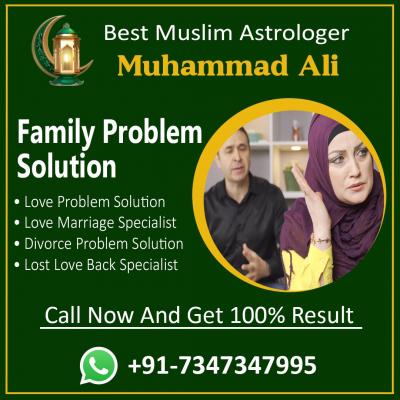 family problem solution+91-7347347995