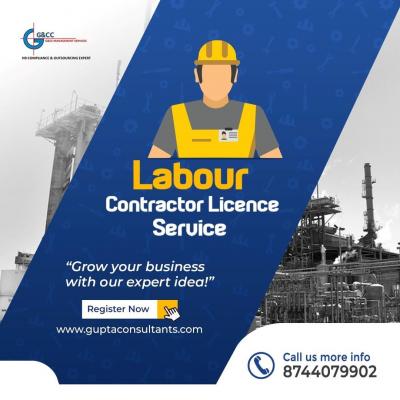 Contract Labour Compliance Services - Delhi Professional Services