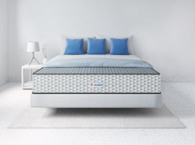 Sleepwell Dual Pro Profiled Mattress