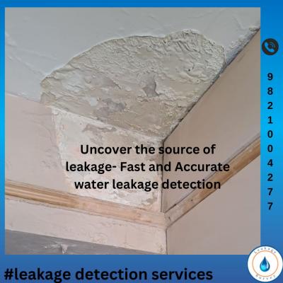 Leakage Detection Services - Mumbai Other