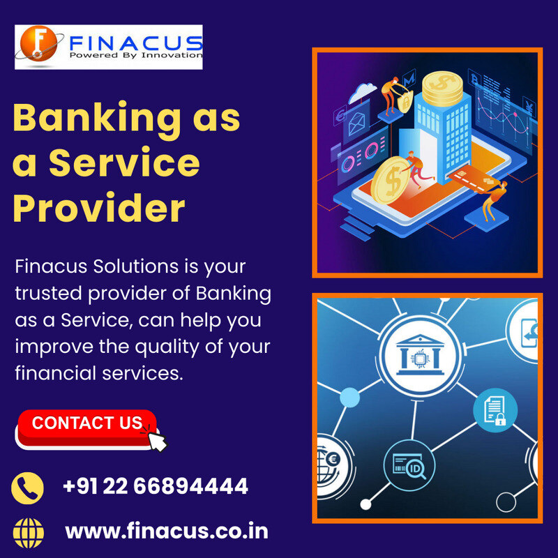 Banking as a Service Provider - Mumbai Other