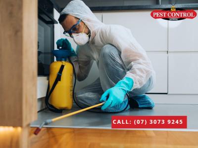 Reliable Building Pest Inspection in Brisbane: Call Today